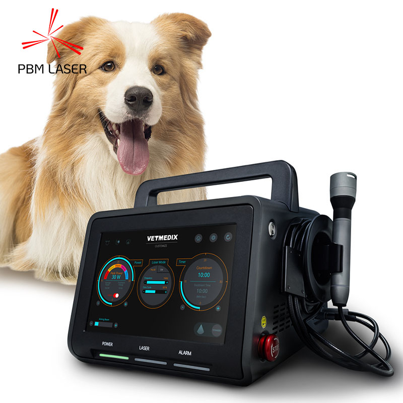 30W Canine Pet Pain Therapy Lazer 450nm 650nm 810nm 808nm 915nm 1064nm